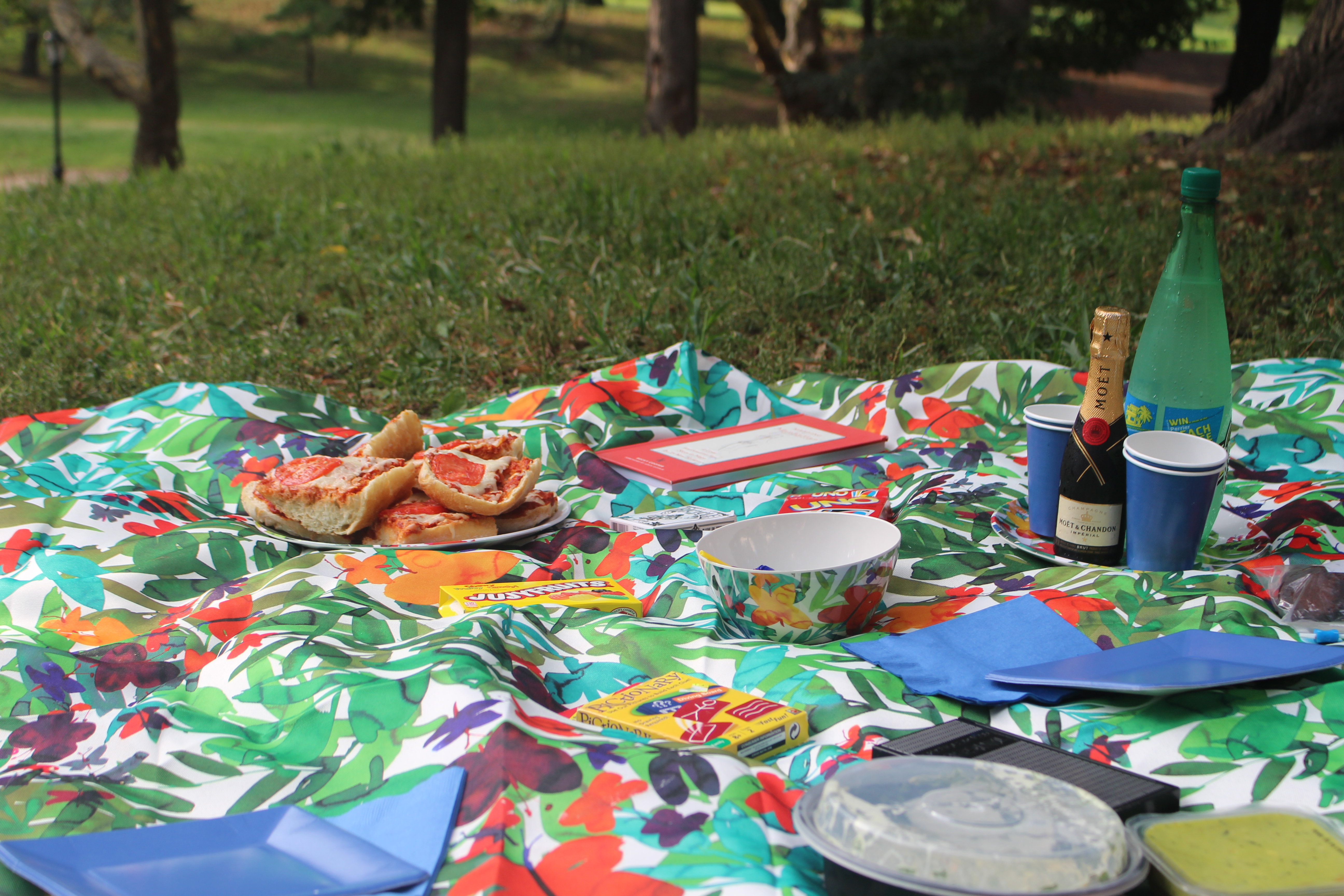 picnic pic 2